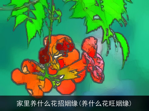 家里养什么花招姻缘(养什么花旺姻缘)