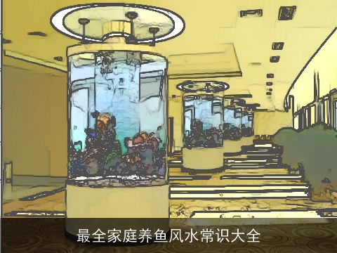 最全家庭养鱼风水常识大全