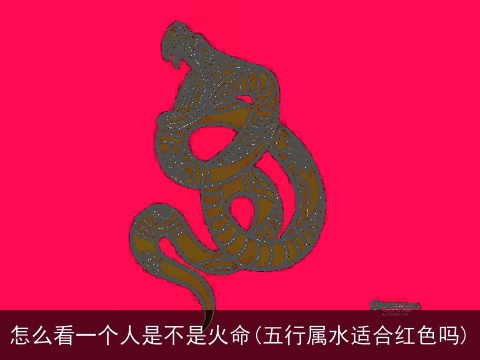 怎么看一个人是不是火命(五行属水适合红色吗)