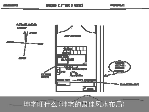 坤宅旺什么(坤宅的最佳风水布局)