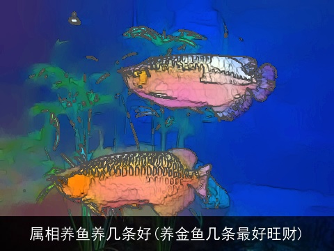 属相养鱼养几条好(养金鱼几条最好旺财)