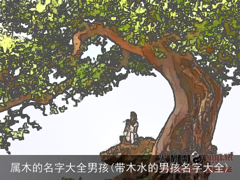 属木的名字大全男孩(带木水的男孩名字大全)