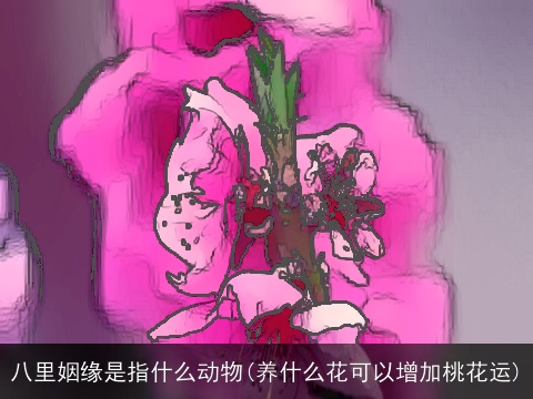 八里姻缘是指什么动物(养什么花可以增加桃花运) 八里姻缘是指什么动物(养什么花可以增加桃花运)
