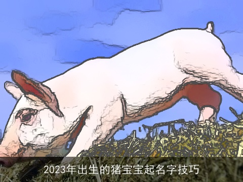 2023年出生的猪宝宝起名字技巧