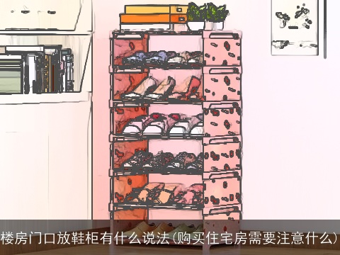 楼房门口放鞋柜有什么说法(购买住宅房需要注意什么)