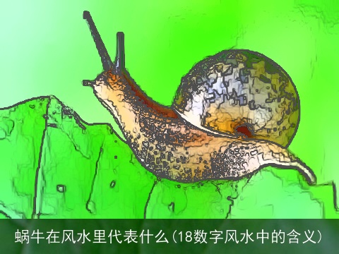 蜗牛在风水里代表什么(18数字风水中的含义)