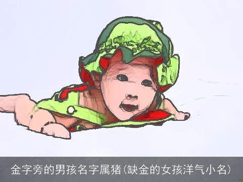 金字旁的男孩名字属猪(缺金的女孩洋气小名)