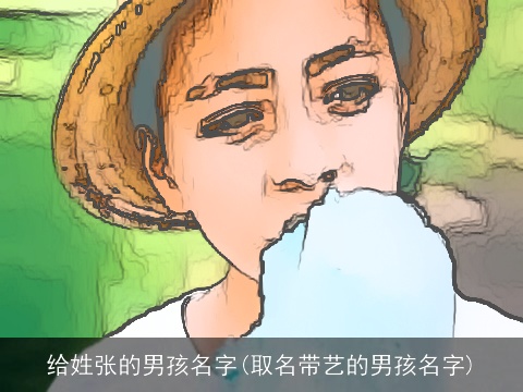 给姓张的男孩名字(取名带艺的男孩名字)