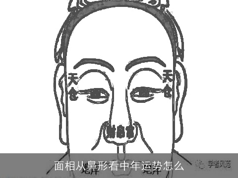 面相从鼻形看中年运势怎么