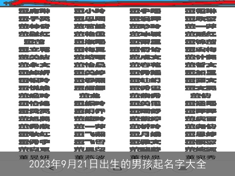 2023年9月21日出生的男孩起名字大全