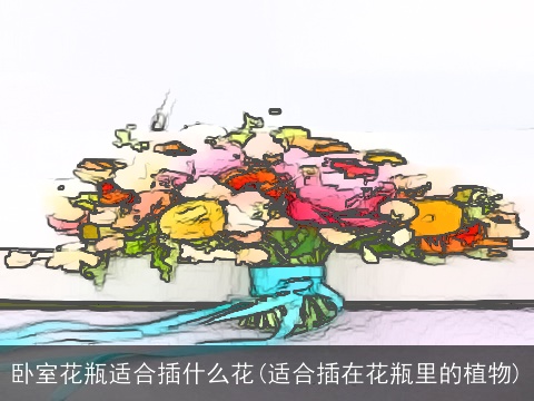 卧室花瓶适合插什么花(适合插在花瓶里的植物)