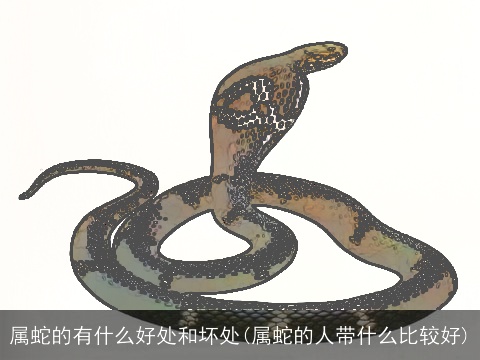 属蛇的有什么好处和坏处(属蛇的人带什么比较好)