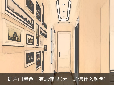 进户门黑色门有忌讳吗(大门忌讳什么颜色)