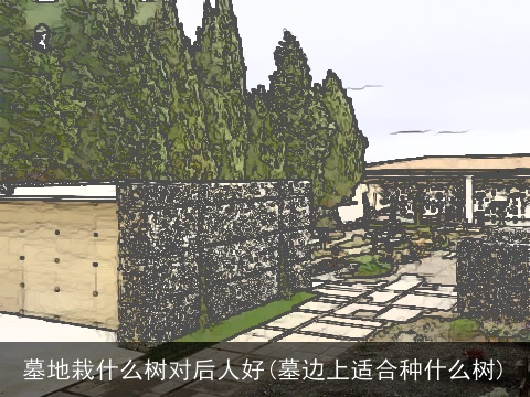 墓地栽什么树对后人好(墓边上适合种什么树)