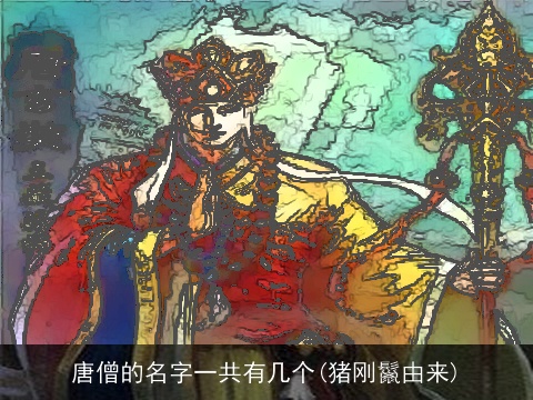 唐僧的名字一共有几个(猪刚鬣由来)