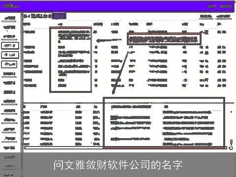 问文雅敛财软件公司的名字