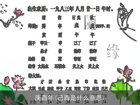 庚酉年(己酉是什么意思)