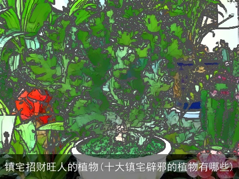 镇宅招财旺人的植物(十大镇宅辟邪的植物有哪些)