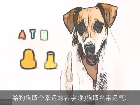 给狗狗取个幸运的名字(狗狗取名带运气)