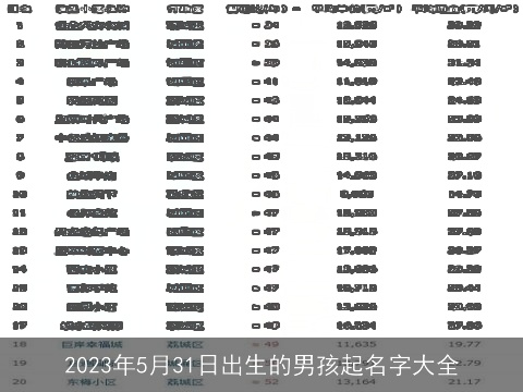 2023年5月31日出生的男孩起名字大全