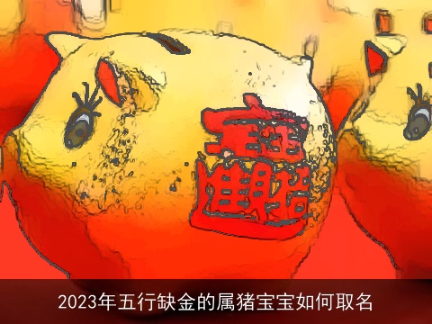 2023年五行缺金的属猪宝宝如何取名