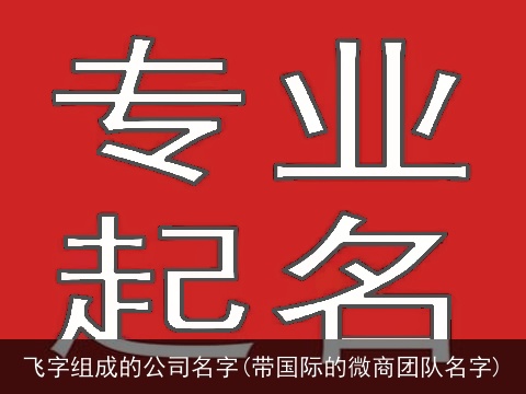 飞字组成的公司名字(带国际的微商团队名字)