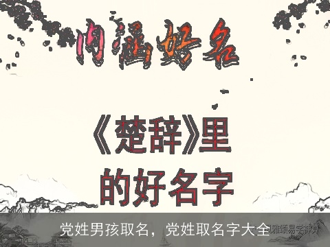 党姓男孩取名，党姓取名字大全