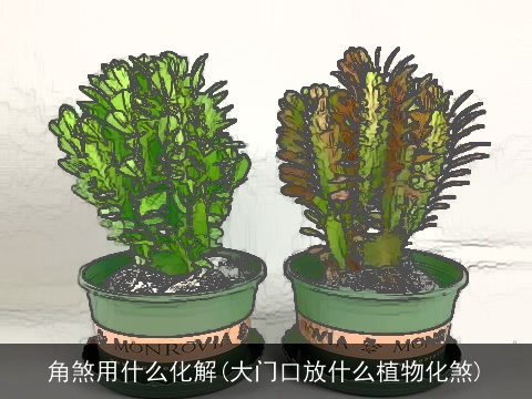 角煞用什么化解(大门口放什么植物化煞)