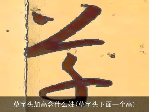 草字头加高念什么姓(草字头下面一个高)