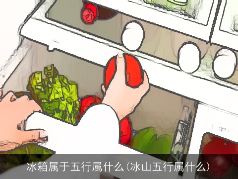 冰箱属于五行属什么(冰山五行属什么)