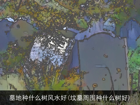 墓地种什么树风水好(坟墓周围种什么树好)