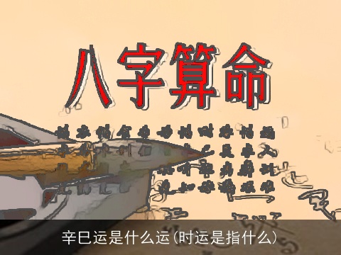 辛巳运是什么运(时运是指什么)