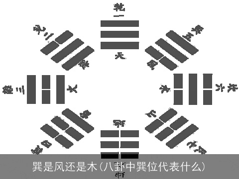 巽是风还是木(八卦中巽位代表什么)