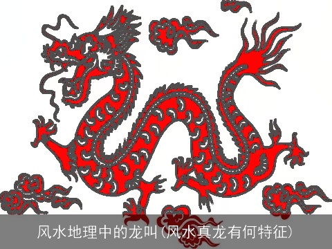 风水地理中的龙叫(风水真龙有何特征)