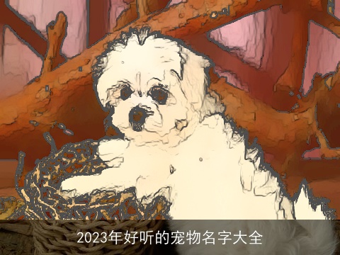 2023年好听的宠物名字大全