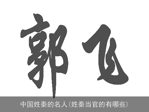 中国姓秦的名人(姓秦当官的有哪些)