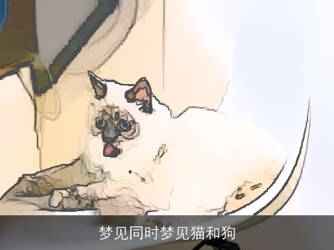 梦见同时梦见猫和狗