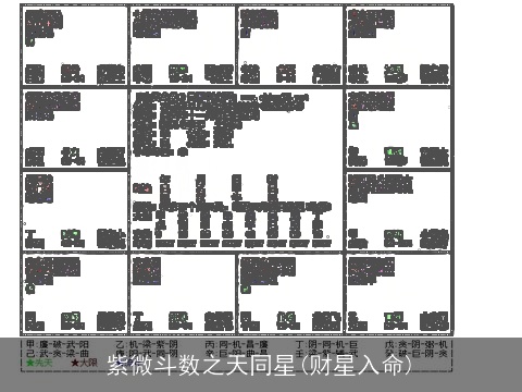 紫微斗数之天同星(财星入命)