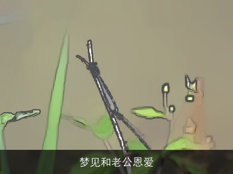 梦见和老公恩爱