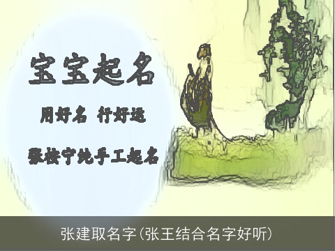张建取名字(张王结合名字好听)