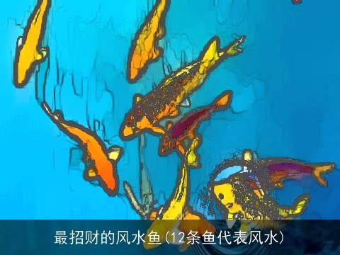 最招财的风水鱼(12条鱼代表风水)