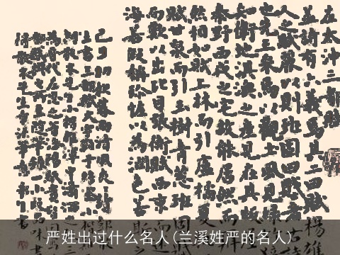 严姓出过什么名人(兰溪姓严的名人)