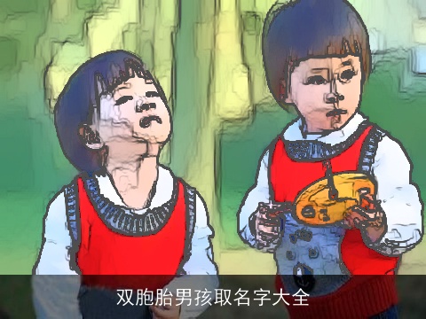 双胞胎男孩取名字大全