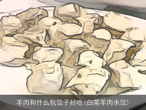 羊肉和什么包饺子好吃(白菜羊肉水饺)