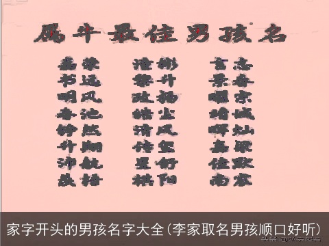 家字开头的男孩名字大全(李家取名男孩顺口好听)