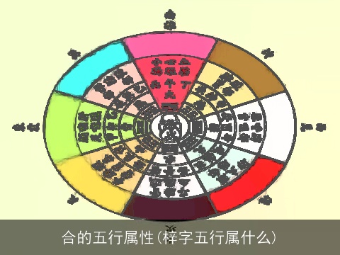 合的五行属性(梓字五行属什么)