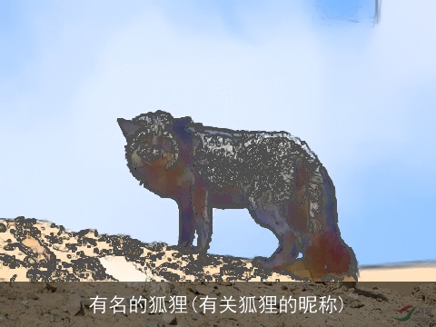 有名的狐狸(有关狐狸的昵称)