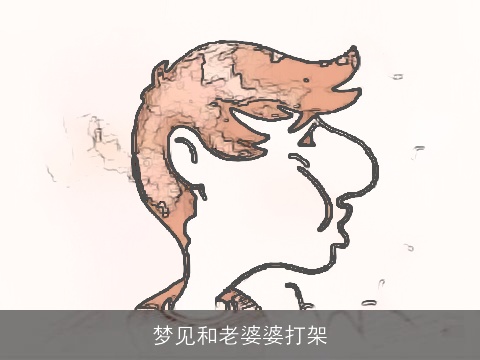 梦见和老婆婆打架