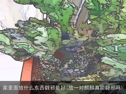 家里面放什么东西辟邪最好(放一对麒麟真能辟邪吗)