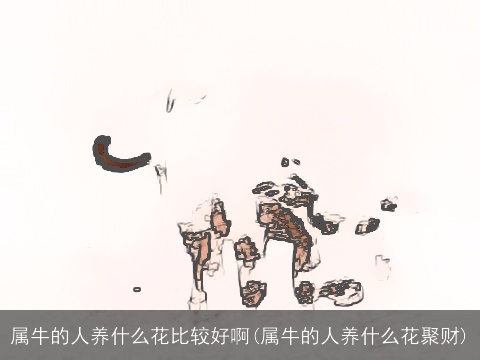 属牛的人养什么花比较好啊(属牛的人养什么花聚财)